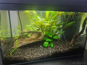 Akvarium 10 litrove - 2