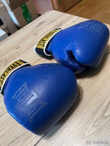 Boxerské rukavice OZ12 Everlast 1910 Classic Training - 2