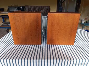 Bang & Olufsen HT500 - 2