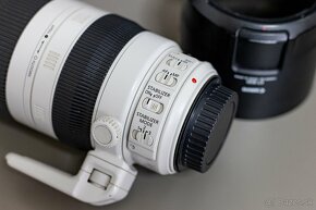 Canon EF 100-400 mm f/4.5 - 5.6L IS II USM - 2