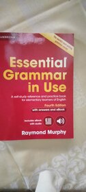 essential grammar in usa - 2