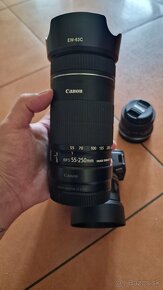 Canon R10 - 2