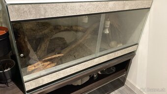 Terarium pre agamu - 2