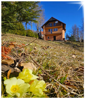 TICHÁ LOKALITA / RODINNÝ DOM / KRÁLIKY / pozemok 1949 m2 / - 2