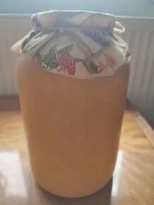 Ozdobná sklenená fľaša na sušené huby, 4,5 L, handmade - 2