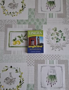 Lingea - Angličtina konverzácia - 2