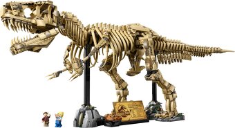 LEGO Jurassic World: 76968 Dinosaur Fossils: Tyrannosaurus r - 2