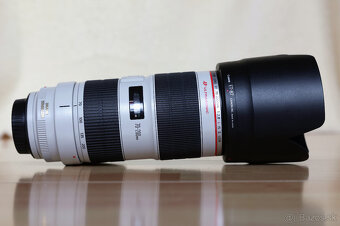 Canon EF 70-200mm F/2.8 L IS II USM - 2