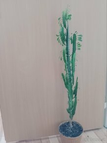 Kvet - Euphorbia trigona mill - 2