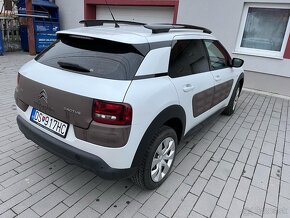 C4 Cactus - 2