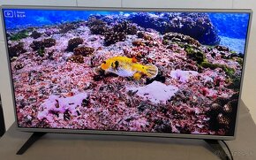 Smart tv LG 43LH570V-(108cm) - 2