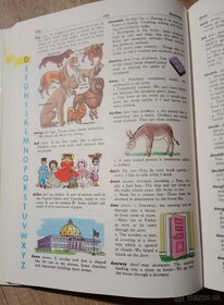 The Giant All-Colour Dictionary - 2