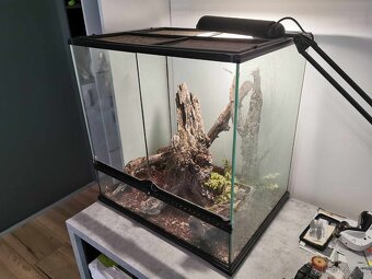 ExoTerra terarium 60x45x60cm - 2