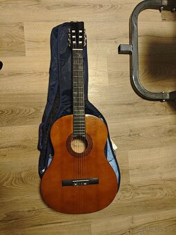 Gitara s pozdrom - 2