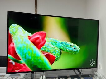 Philips 65PUS6162 Smart UHD 164cm - 2