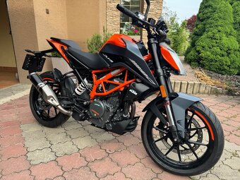 KTM DUKE 390  2024 - 2