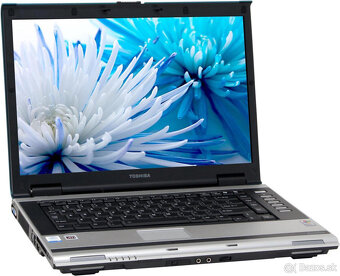 Toshiba Satellite A110-195 - 2