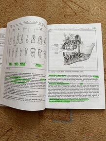 Anatómia človeka pre nelekárske študijné programy - 2