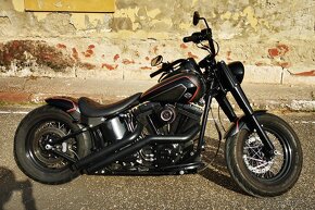 Harley Davidson Softail FLSTF - 2