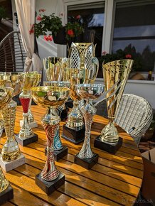 Predám použité športové poháre, trofeje - 2