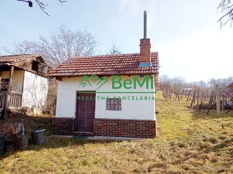 Predaj pozemku s vinicou a viničným domom - Levice ( 045-13- - 2