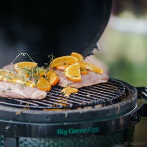 Big Green Egg - Minimax - 2