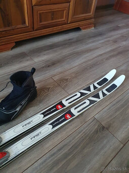 Predam bezkovy set,ROSSIGNOL,176 cm,NNN,c.41,supiny - 2