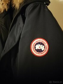 Bunda Canada Goose - 2