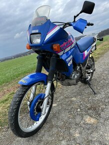 Yamaha XTZ 660 Tenere - 2