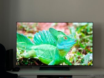 LG OLED 55 C2 rok záruka - 2