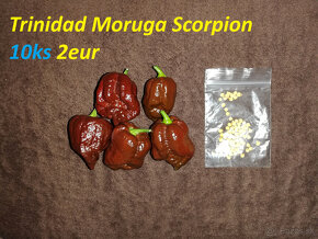 Moruga Scorpion, Ring Of Fire, Satan's Kiss - 2