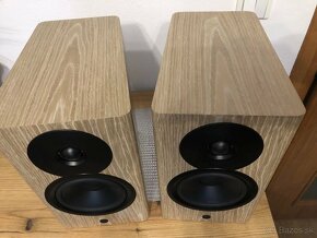 Dynaudio Focus 10 - 2