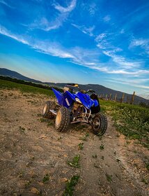 Yamaha Raptor 350 - 2