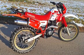 Yamaha XT 600 43F - 2