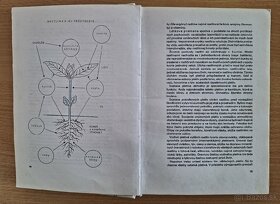 Maly atlas liecivych rastlin - 2