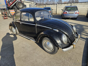 Volkswagen chrobak OVAL 1956 s TP - 2