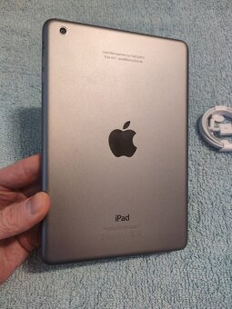 Apple iPad Mini 16GB - 2