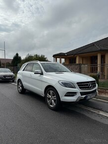 Predam Mercedes Benz ML350 - 2