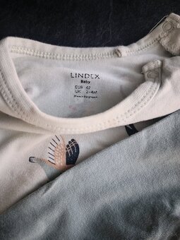 Lindex body - 2