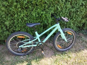 Detský Bicykel SPECIALIZED Jett 20 Gloss Oasis/Forest Green - 2