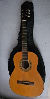 Gitara - 2