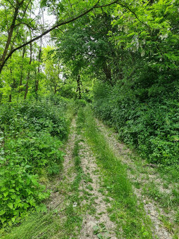 Pozemok na výstavbu rodinných domov, Svinica, Košice - Okoli - 2