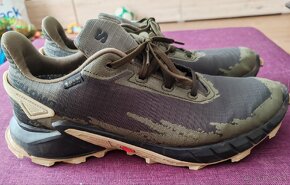 SALOMON ALPHACROSS 4 GTX

 - 2