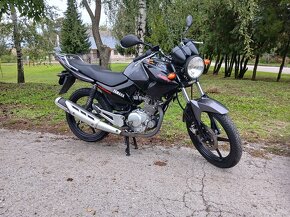 Yamaha YBR 125 - 2