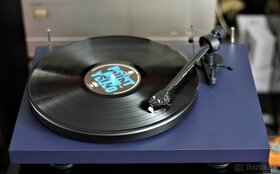 PRO-JECT DEBUT CARBON EVO DC SATIN BLUE (RAINIER) NEW - 2