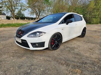 Seat leon Cupra R310 Christa Rigozzi - 2