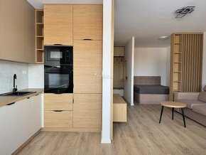 PRENAJATÝ| 1 izbový byt s parkovacím státím, LUNA RESIDENCE - 2