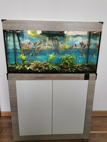 Predaj akvarium+ vsetko prislusenstvo - 2