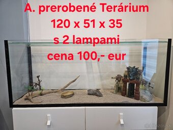 Terárium - 2