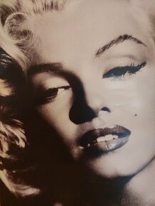 Obraz na plátne Marilyn Monroe - 2